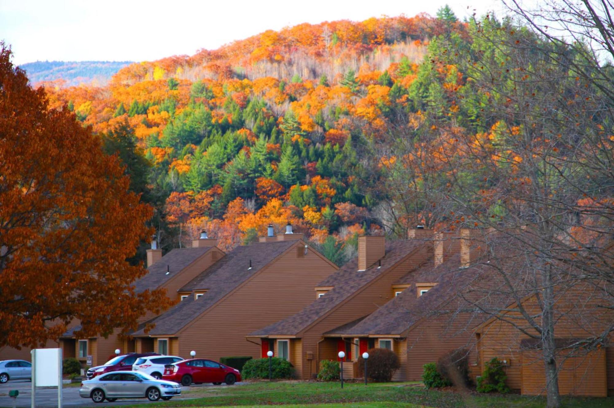 Cold Spring Plymouth Resort Ashland Εξωτερικό φωτογραφία